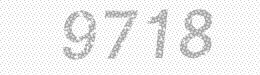 Visual security code — type the characters shown in the image